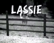 lassie 2.35 MB